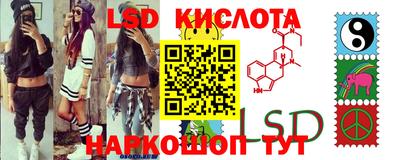 стафф Можга