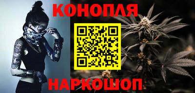 стафф Можга