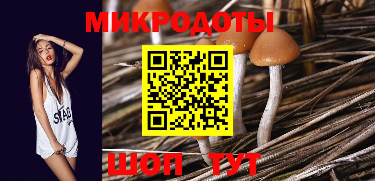 Псилоцибиновые грибы мухоморы  Вход с VPN  Среднеуральск 